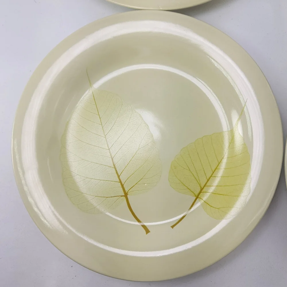 Pier 1 Aspen Stoneware Salad Dessert Plates Set of 4